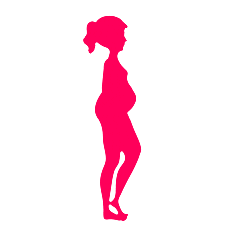 Xô academia Sticker