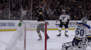 happy 2019 stanley cup finals GIF by NHL