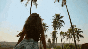 Happy Fly GIF by Luv Films