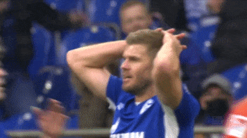 Football No GIF by FC Schalke 04