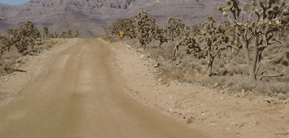 empty desert tumbleweed gif