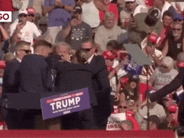Donald Trump Ok GIF