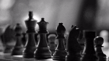 Sjakk Rogaland GIF by Norway Chess