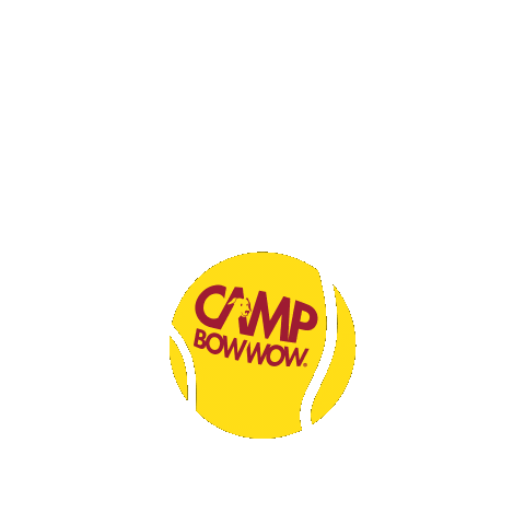 Camp Bow Wow Tennis Ball Sticker by Camp Bow Wow