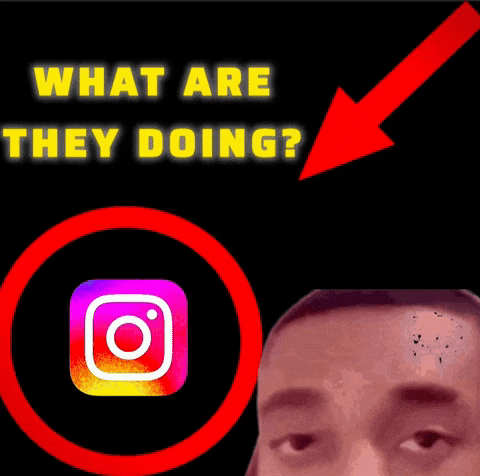 Instagram What Are They Doing GIF