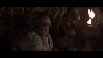 Ace Ventura GIF