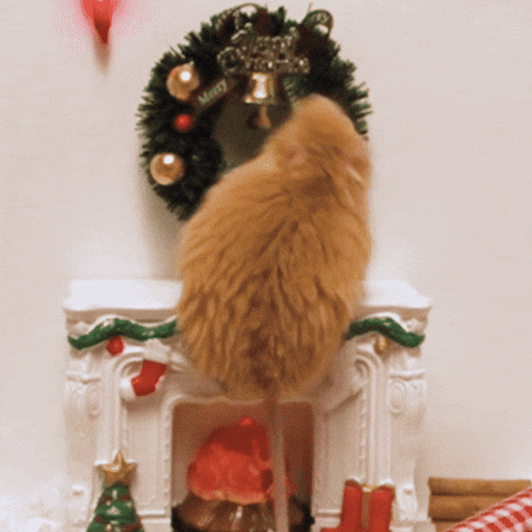 Merry Christmas Falling GIF by Colossal