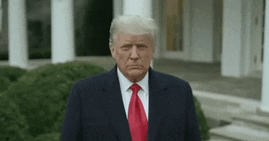 Staring Donald Trump GIF by GIPHY News