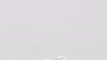 Smoke Simulation GIF by tokyomegaplex