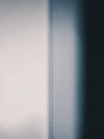 Vote Munich GIF by Grüne München