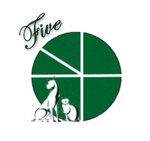 Five Points Pet Resort GIF