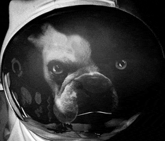 Vintage Music Label GIF