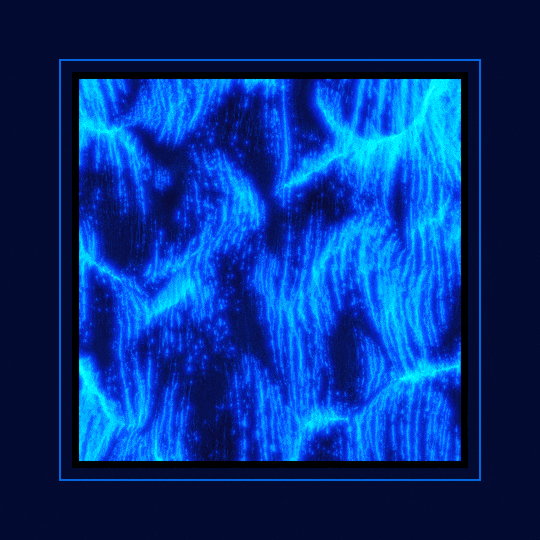 Art Loop GIF by xponentialdesign