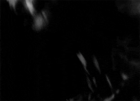 Ingmar Bergman GIF by Maudit