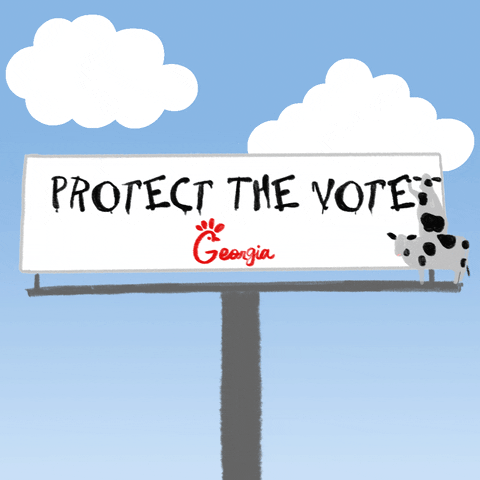 Voting Rights Georgia GIF by Creative Courage