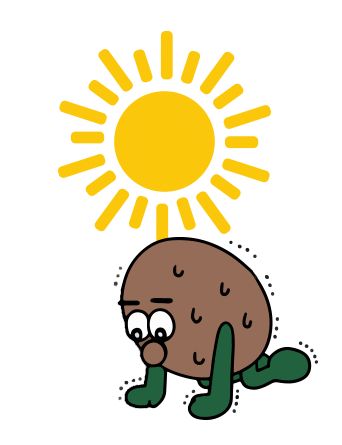 Calor Kiwi Sticker by Zespri España