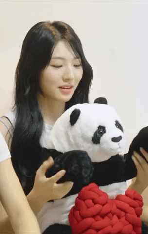 K-Pop Panda GIF