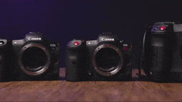 Cinema Camera Canon GIF by LensProToGo