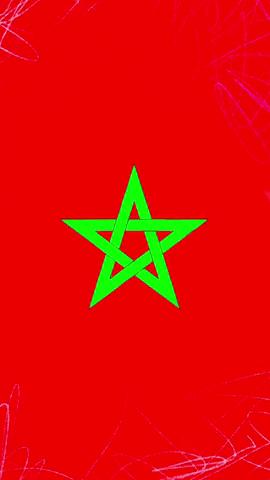 Maroc GIF by systaime