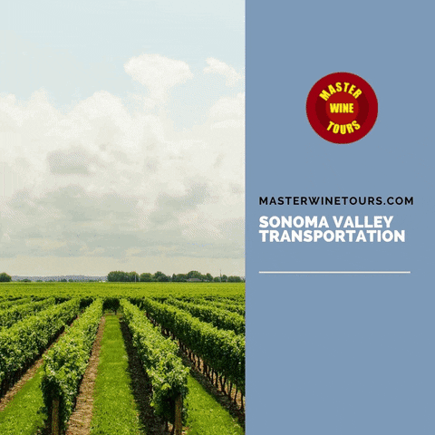 Napa Valley Transportation GIF