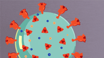 ScrippsResearch GIF