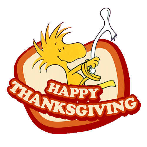 A Charlie Brown Thanksgiving Animation Sticker by Peanuts