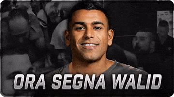 Lecce GIF
