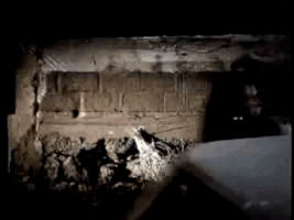 matantaktik  GIF