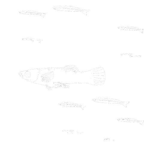 Gowanus Dredgers Canoe Club Sticker