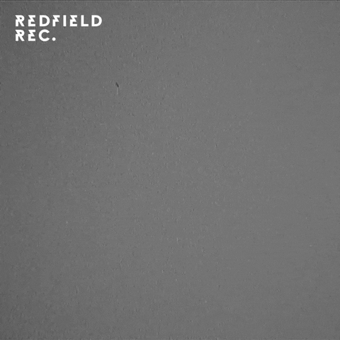 Black And White Smoking GIF by Redfield Records