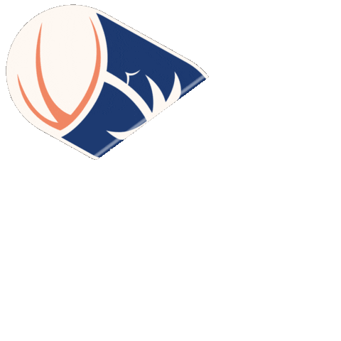 Summer Travel Sticker by MYSPORTAGENCY