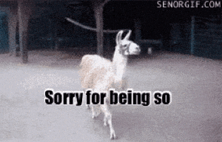 sorry bitch im fabulous GIF