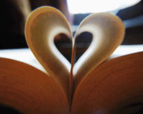 Queer Reads!!