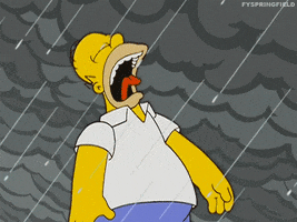 the simpsons simpsons homer simpson homer lightning