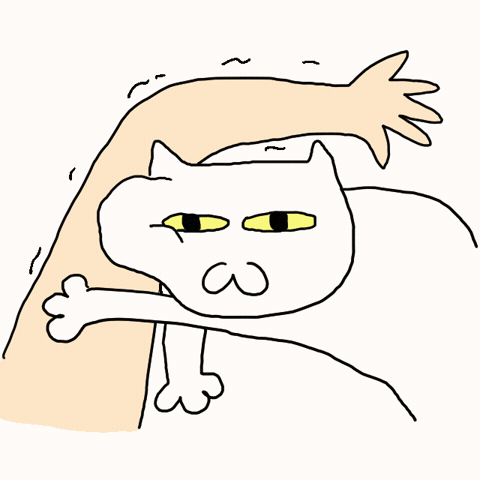 Cat Kitty GIF