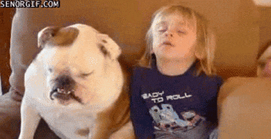 https://media4.giphy.com/media/V9rfQxMz7PMpW/200.gif#4