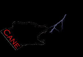 Cane GIF by canespain