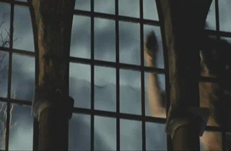 Https Encrypted Tbn0 Gstatic Com Images Q Tbn 3aand9gcszbd1s Wj00uc9s5fbkyvbf1riztv2ejavna Usqp Cau