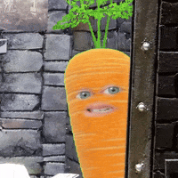 200.gif