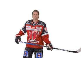 Celebration Orebro Sticker by Örebro Hockey