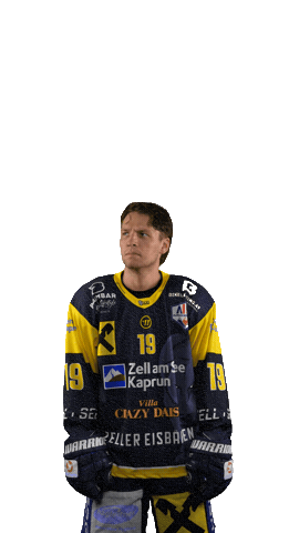 Zellamsee Ekz Sticker by EK Zeller Eisbären
