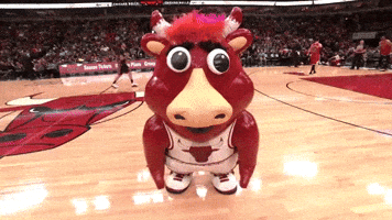 Benny The Bull Omg GIF by Chicago Bulls