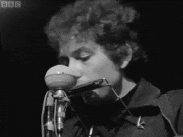 bob dylan gosh i love your face so much GIF
