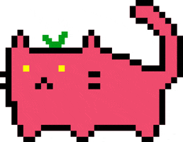 fat pixel cat yes GIF by hoppip
