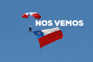 FIDAE GIF