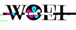 woeionline GIF