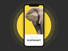 Mobile Ui GIF