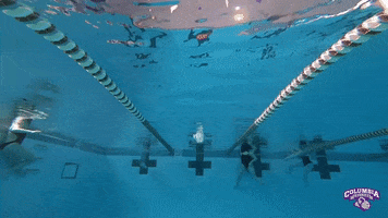Swim Swimming GIF by Columbia College