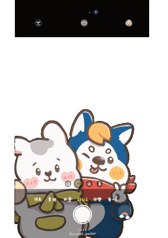 Photo Camera Sticker