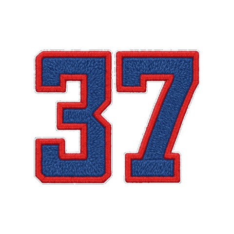 Embroidery Sticker by Customnumbered